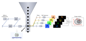 BD CellView Image Technology schematic