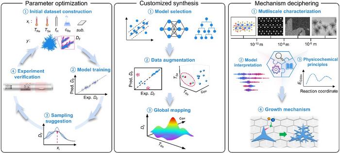 Machine-intelligence framework for full-chain CVD synthesis of 2D dendrites
