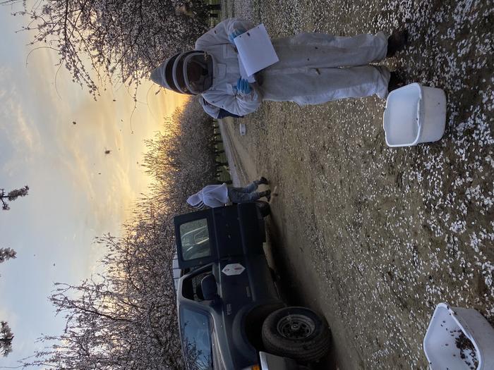 WSUbeeresearch2