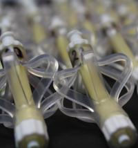 Soft Actuators