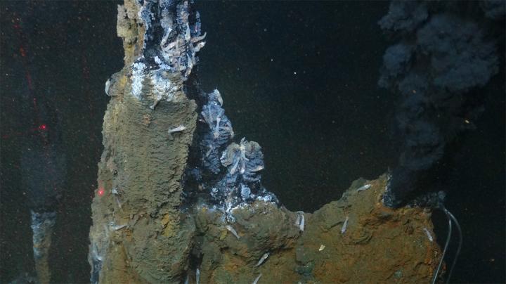 Vent Chimneys at the Von Damm Vent Site