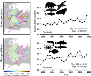 Spatial distributions of species richness (SR) temporal trend and annual averaged SR throughout the Arctic between 2000 and 2019
