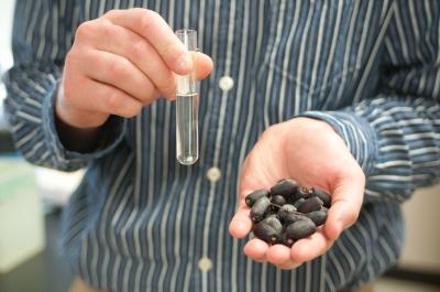 Seeds and Oil