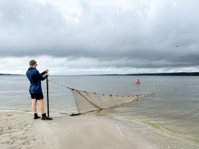 Striped Bass Seine Survey