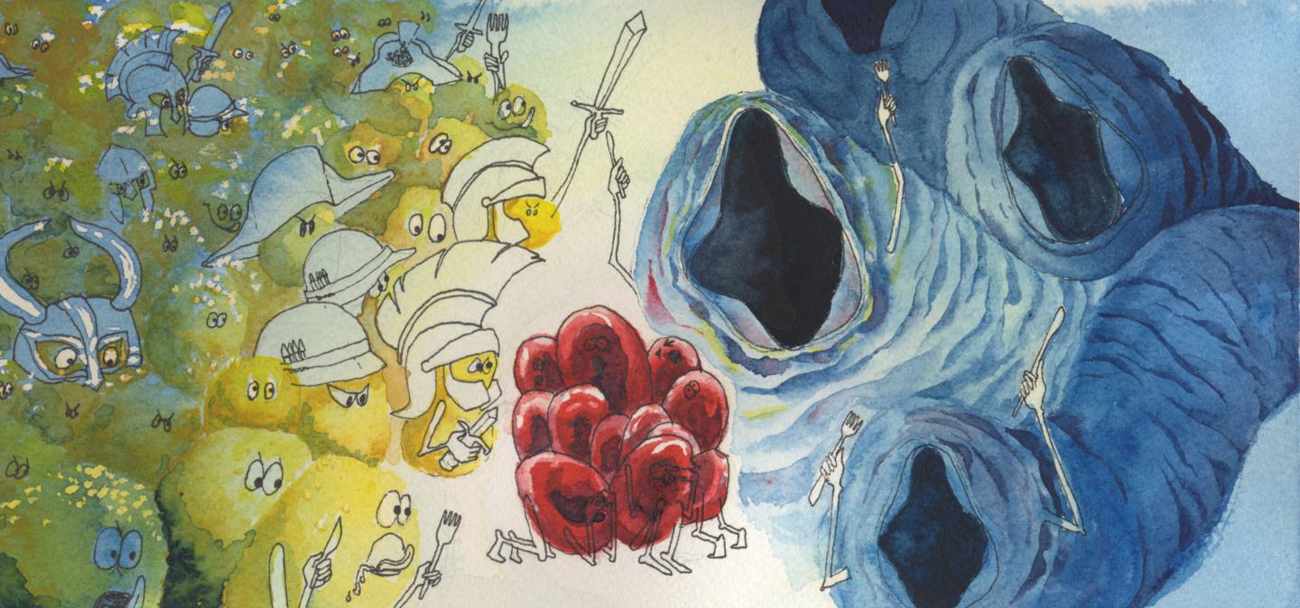 Malaria and Hookworms Battle for Red Blood Cells