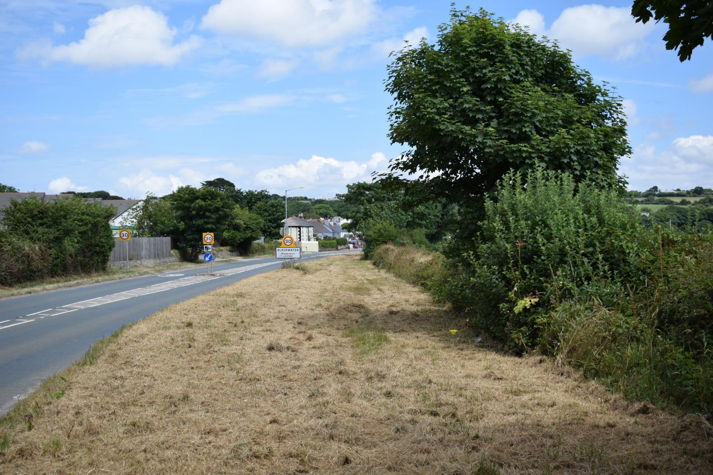 Verge after Cutting