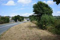 Verge after Cutting