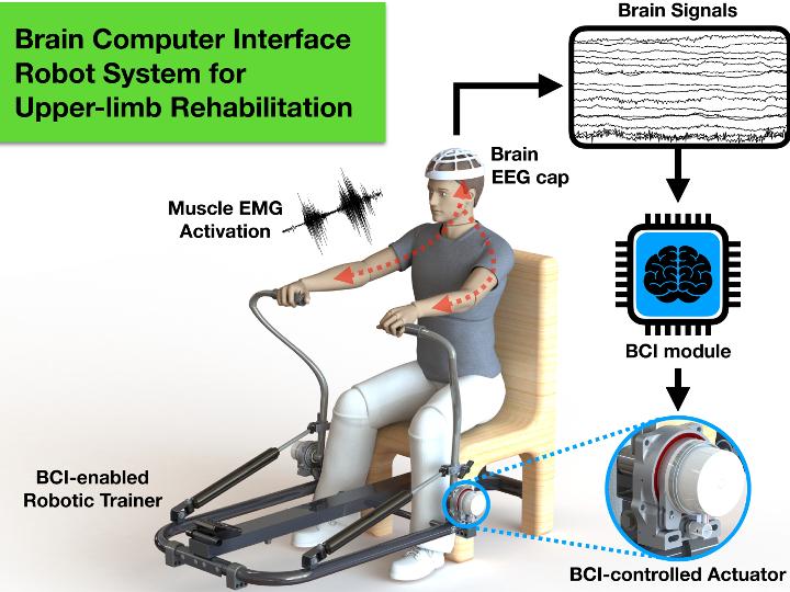 Brain-Computer Interface System