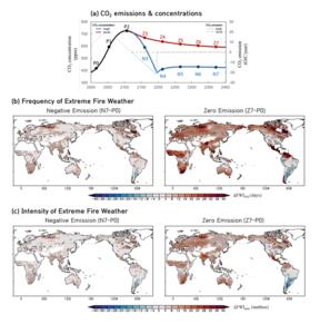 Climate-driven extreme fire danger cannot be prevented by carbon neutrality alone