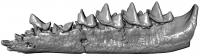 3D Jawbone