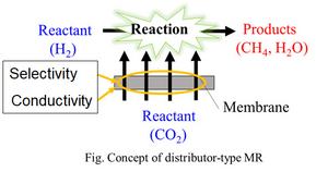 Concept of Distributor-Type Membrane Reactor