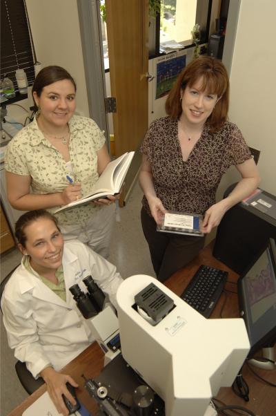 Scientists study proteins and microbes