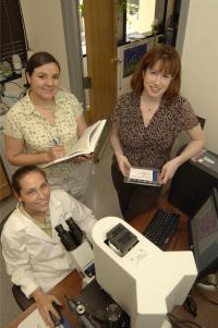 Scientists study proteins and microbes