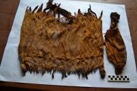 Artifacts at Cerro del Gentil