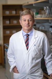 Marcel van den Brink