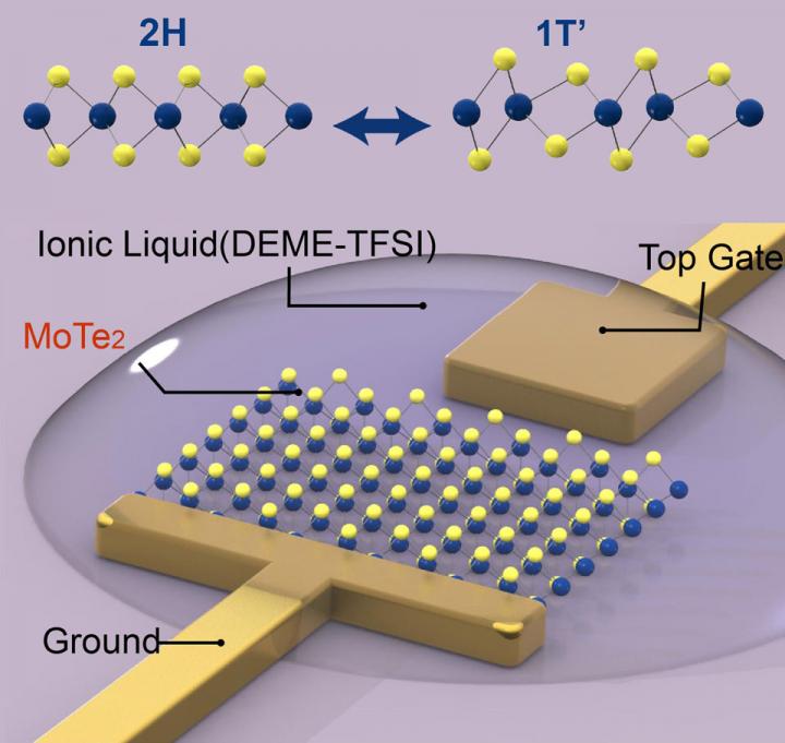 Monolayer Schematic