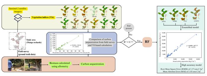 Machine learning technique for carbon sequestration estimation of mango orchards area using Sentinel-2 Data