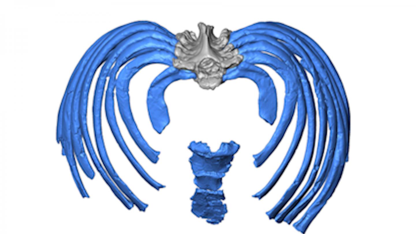 Image from Virtual 3D Reconstruction