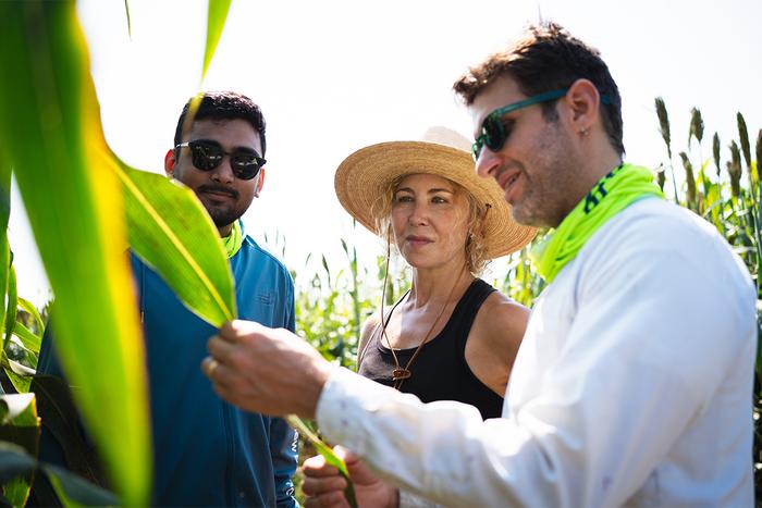 Andrea Eveland, Ph.D., Principal Investigator and member at the Donald Danforth Plant Science Center with two team members.