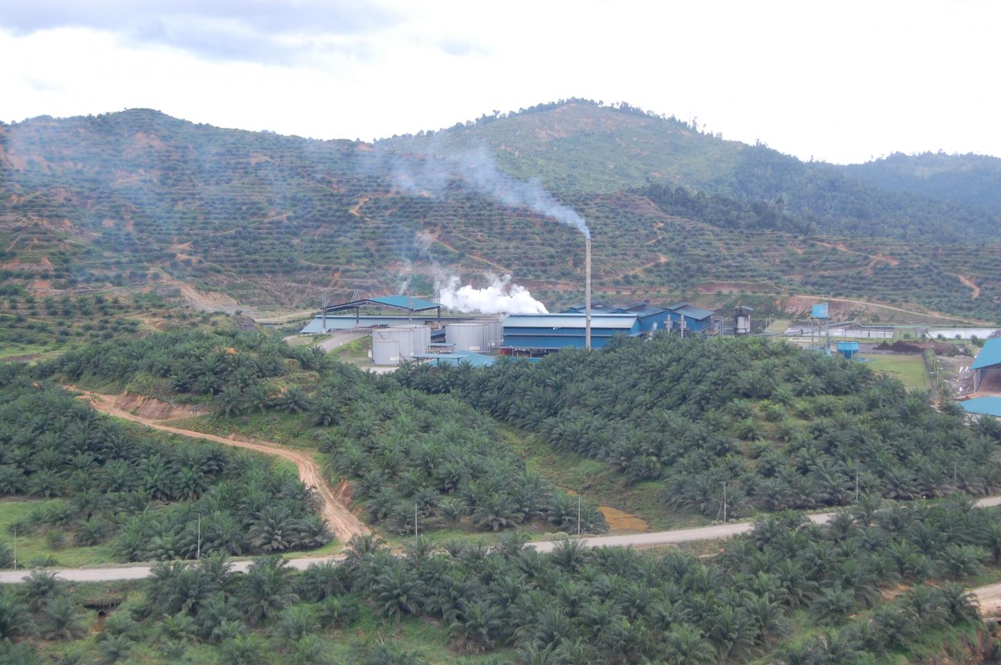 Bornean Factory