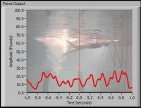 Swimming Technology (2 of 2)