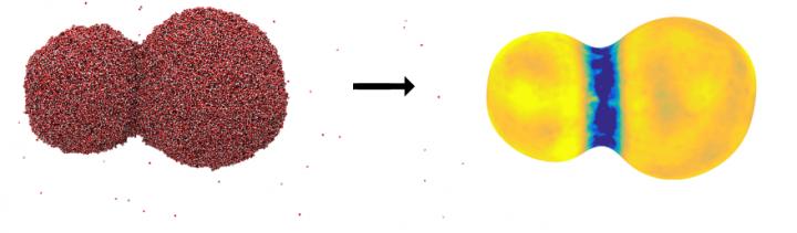 How Water Droplets Coalesce