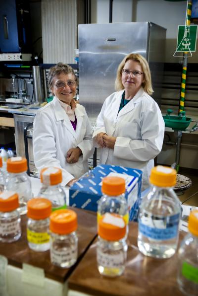 Susannah Gal and Susan Bane, Binghamton University