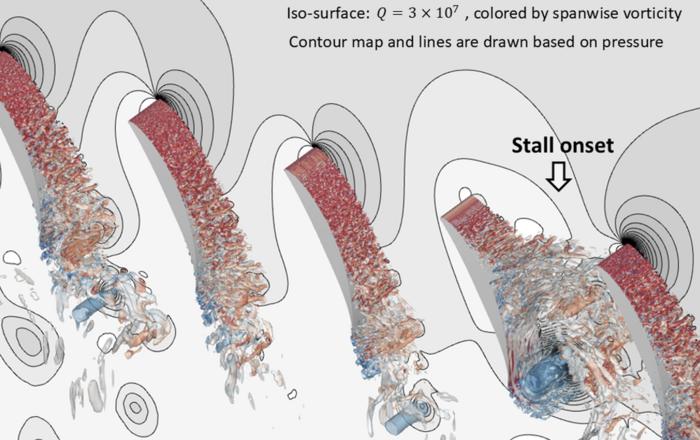 Transient vortex structures during stall onset.