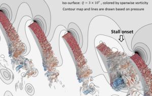 Transient vortex structures during stall onset.