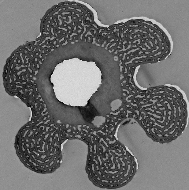 Multilayer Nanostructure