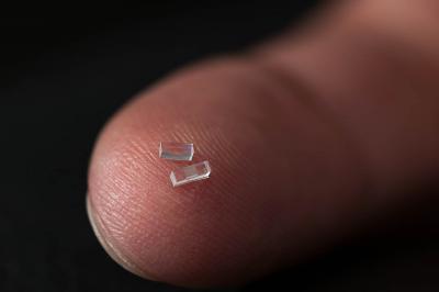 Accelerator on a Chip