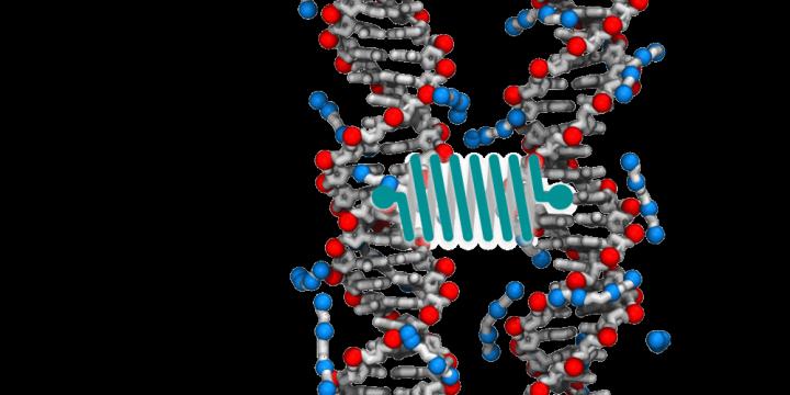 Atomic-Level Simulations