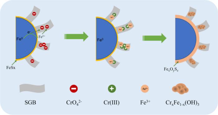 Capture-reduction mechanism for promoting CrVI removal by sulfidated microscale zerovalent iron/sulfur-doped graphene-like biochar composite