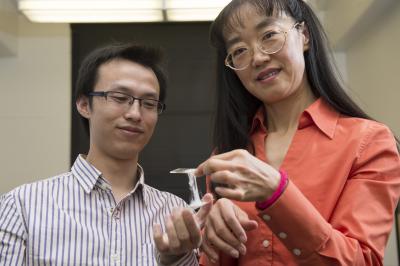 Katie Zhong and Yu Wang, Washington State University