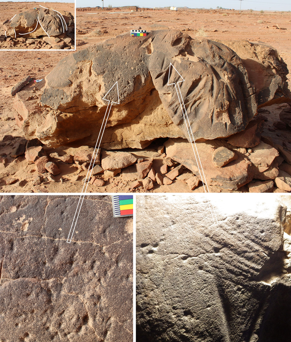 Camel tool marks