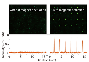 Signals generated using WRAP method