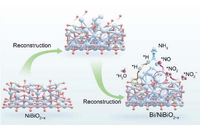 Schematic illustration showing the reconstruction process of NiBiO2-x for boosting electrochemical NO2−RR