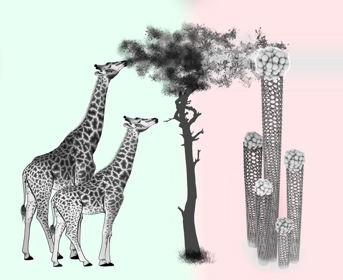NANOTUBES 3