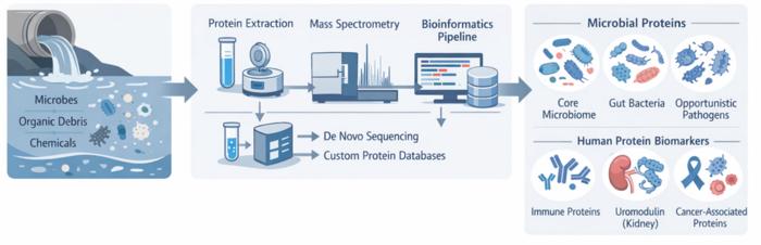 Wastewater metaproteomics: tracking microbial and human protein biomarkers