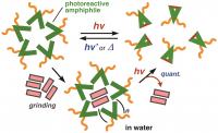 Figure 1: The Nanosized Container Quantitatively Releases the Cargo upon Light-Stimulus