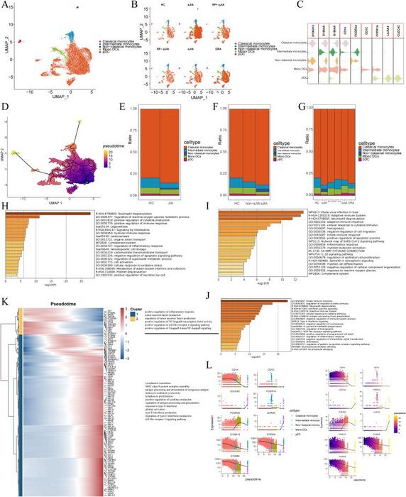 Myeloid cell phenotypes in JIA and HC PBMCs.