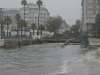 Santa Monica Beach, Winter 2008