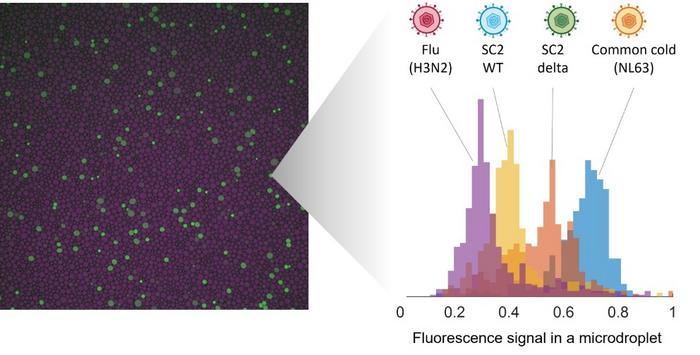 KAIST Identifies Multiple Viruses and Variants Simultaneously by Controlling the “Speed” of CRISPR Gene Scissors​