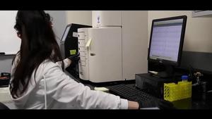 Epigenome analysis