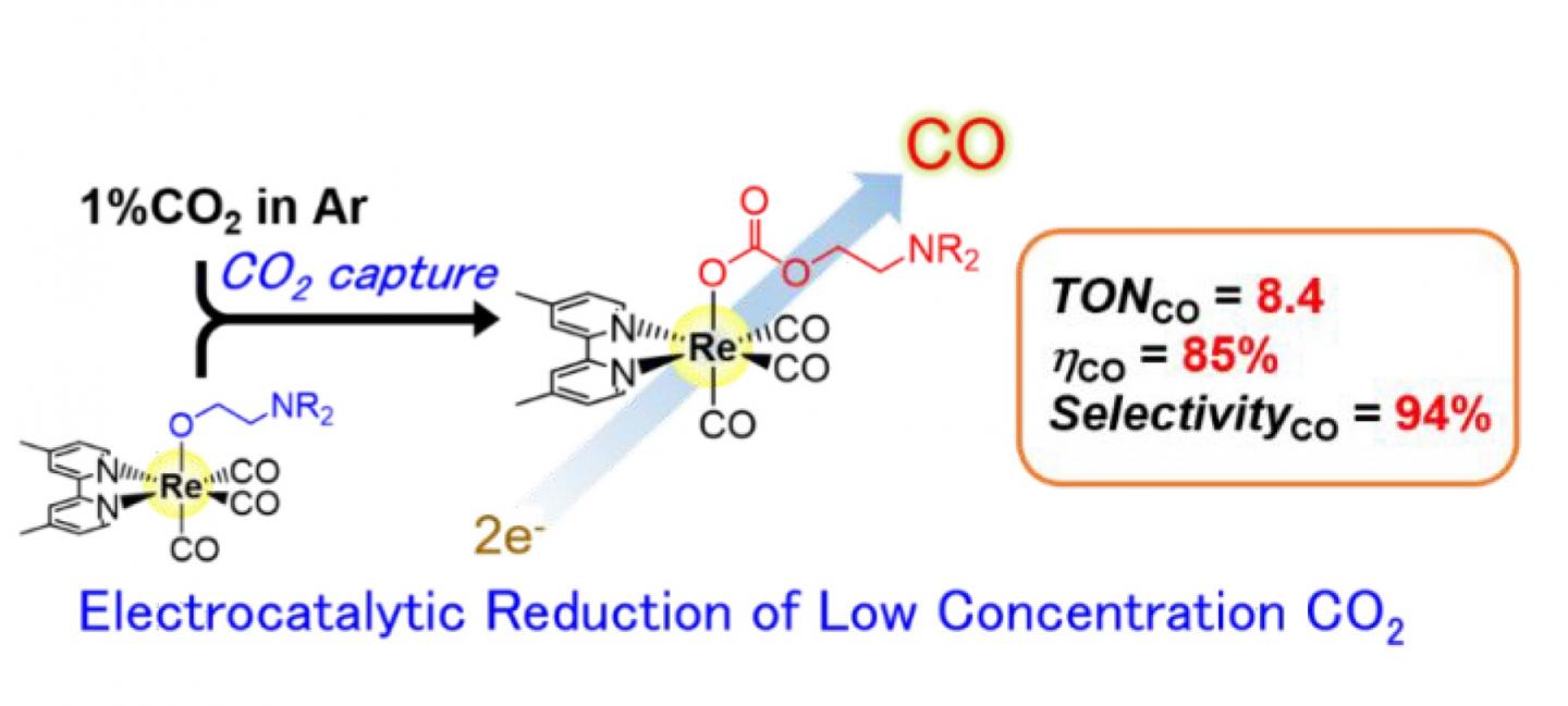 Representation of the Electrocatalytic Reduction System