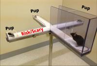 Elevated pup retrieval