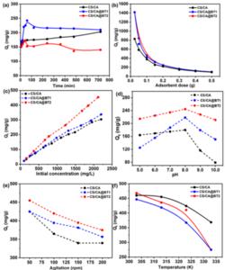 Adsorption kinetics of the chitosan/cellulose acetate@bentonite (CS/CA@BT) composite beads under different conditions