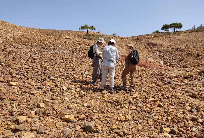 Field survey in Ayvalık.