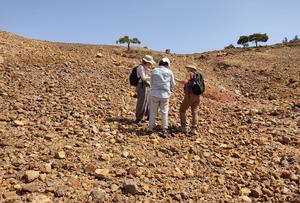 Field survey in Ayvalık.