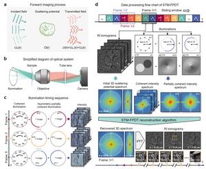 STM-FPDT System for Label-Free 3D Imaging of Live Cells.